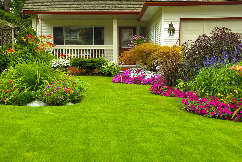 landscaping costs 2025